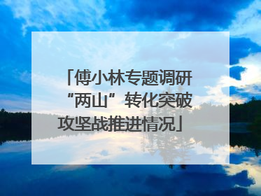 傅小林专题调研“两山”转化突破攻坚战推进情况