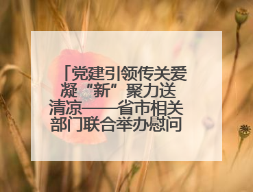 党建引领传关爱 凝“新”聚力送清凉——省市相关部门联合举办慰问骑手活动