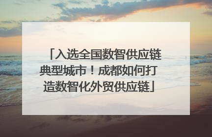 入选全国数智供应链典型城市!成都如何打造数智化外贸供应链