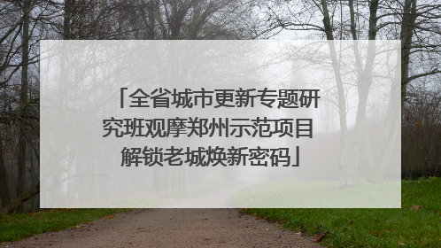 全省城市更新专题研究班观摩郑州示范项目 解锁老城焕新密码