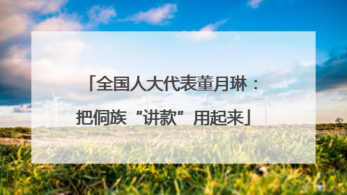 全国人大代表董月琳：把侗族“讲款”用起来