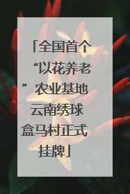 全国首个“以花养老”农业基地 云南绣球盒马村正式挂牌