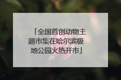 全国首创动物主题市集在哈尔滨极地公园火热开市