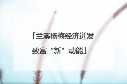 兰溪杨梅经济迸发致富“新”动能
