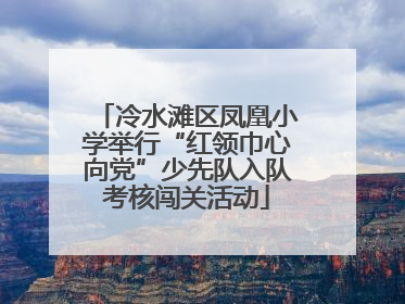 冷水滩区凤凰小学举行“红领巾心向党”少先队入队考核闯关活动