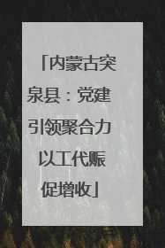 内蒙古突泉县：党建引领聚合力 以工代赈促增收