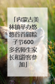 内蒙古美林镇举办悠悠谷首届粽子节600多名师生家长和游客参加