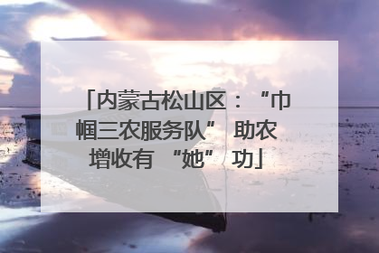 内蒙古松山区：“巾帼三农服务队” 助农增收有 “她” 功