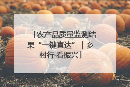 农产品质量监测结果“一键直达”｜乡村行·看振兴