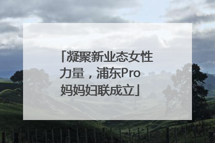 凝聚新业态女性力量，浦东Pro妈妈妇联成立