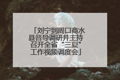 刘宁到周口商水县督导调研并主持召开全省“三夏”工作视频调度会
