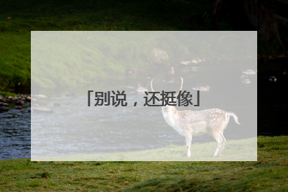 别说，还挺像