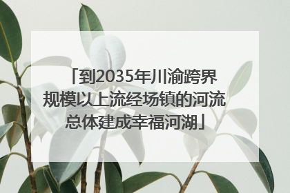 到2035年川渝跨界规模以上流经场镇的河流总体建成幸福河湖
