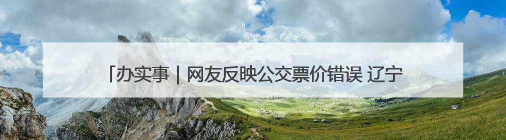 办实事｜网友反映公交票价错误 辽宁阜新：及时核查更正 加强实时巡检