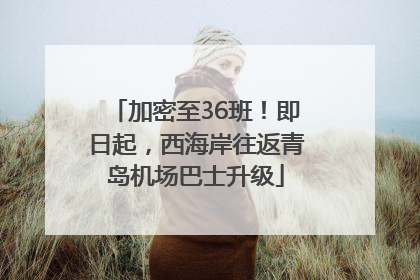 加密至36班！即日起，西海岸往返青岛机场巴士升级