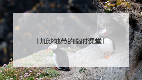 加沙地带的临时课堂
