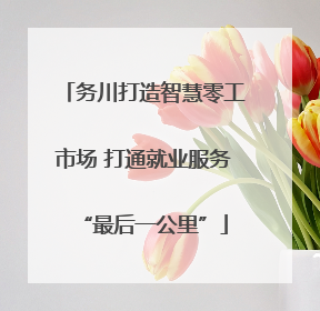 务川打造智慧零工市场 打通就业服务“最后一公里”