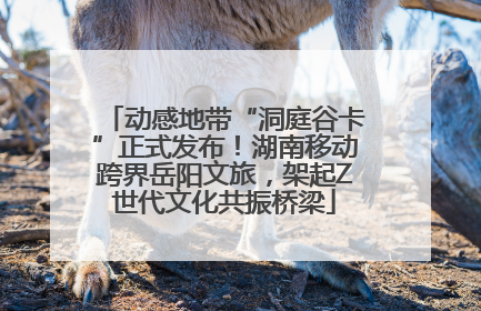 动感地带“洞庭谷卡”正式发布！湖南移动跨界岳阳文旅，架起Z世代文化共振桥梁
