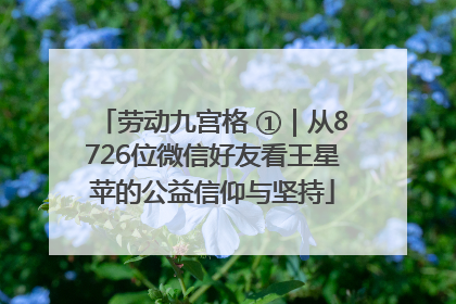 劳动九宫格 ①｜从8726位微信好友看王星苹的公益信仰与坚持