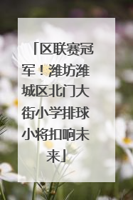 区联赛冠军！潍坊潍城区北门大街小学排球小将扣响未来