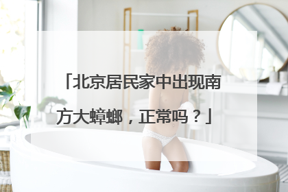 北京居民家中出现南方大蟑螂，正常吗？
