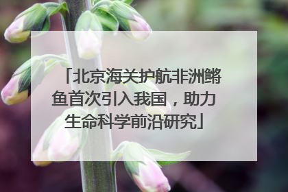 北京海关护航非洲鳉鱼首次引入我国，助力生命科学前沿研究