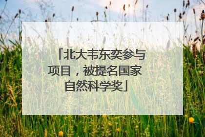 北大韦东奕参与项目，被提名国家自然科学奖