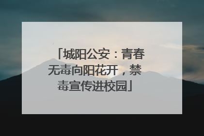 城阳公安：青春无毒向阳花开，禁毒宣传进校园