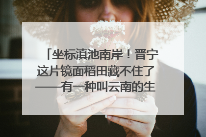 坐标滇池南岸！晋宁这片镜面稻田藏不住了——有一种叫云南的生活之365天