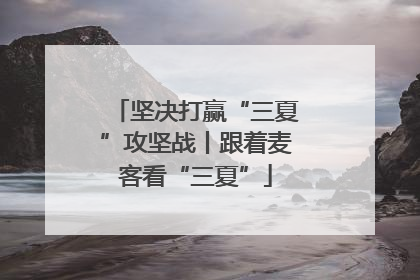 坚决打赢“三夏”攻坚战丨跟着麦客看“三夏”