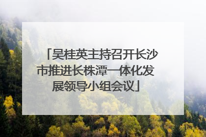 吴桂英主持召开长沙市推进长株潭一体化发展领导小组会议