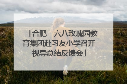 合肥一六八玫瑰园教育集团赴习友小学召开视导总结反馈会