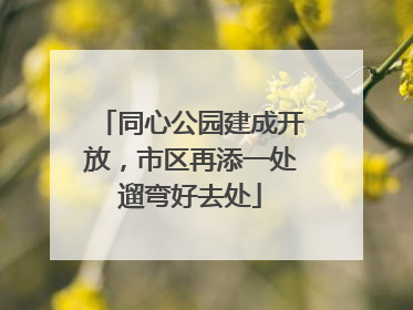 同心公园建成开放，市区再添一处遛弯好去处