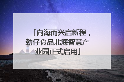 向海而兴启新程，劲仔食品北海智慧产业园正式启用