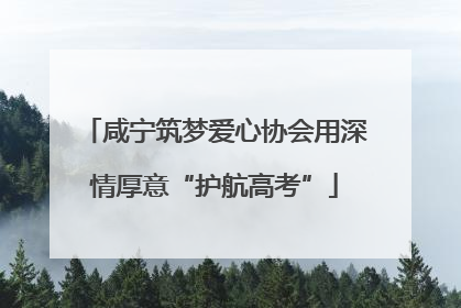 咸宁筑梦爱心协会用深情厚意“护航高考”