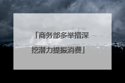 商务部多举措深挖潜力提振消费