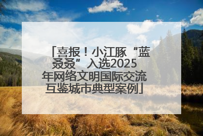 喜报！小江豚“蓝叒叒”入选2025年网络文明国际交流互鉴城市典型案例