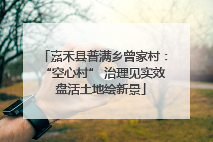嘉禾县普满乡曾家村：“空心村” 治理见实效 盘活土地绘新景