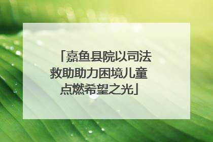 嘉鱼县院以司法救助助力困境儿童点燃希望之光