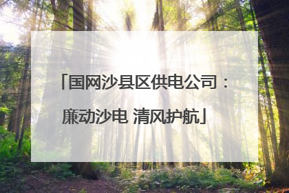 国网沙县区供电公司：廉动沙电 清风护航