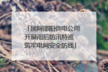 国网邵阳供电公司开展雨后防汛特巡 筑牢电网安全防线