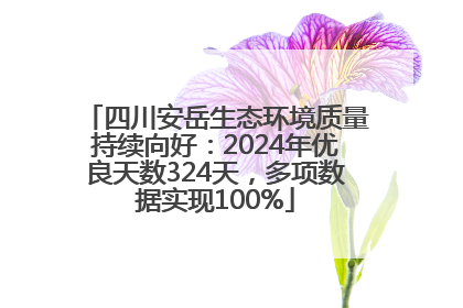 四川安岳生态环境质量持续向好：2024年优良天数324天，多项数据实现100%