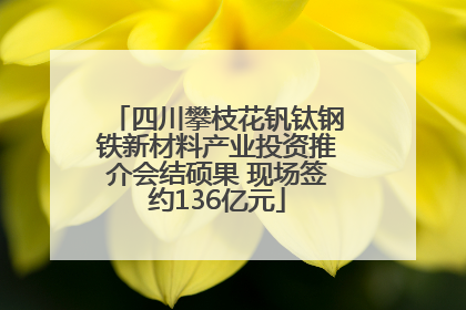 四川攀枝花钒钛钢铁新材料产业投资推介会结硕果 现场签约136亿元