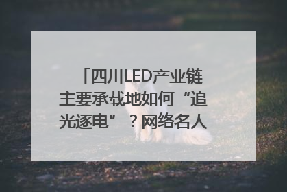 四川LED产业链主要承载地如何“追光逐电”？网络名人走进攀枝花找答案｜网络名人四川行