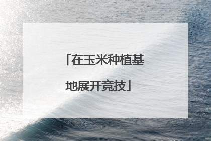在玉米种植基地展开竞技
