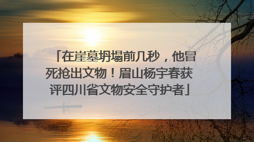 在崖墓坍塌前几秒，他冒死抢出文物！眉山杨宇春获评四川省文物安全守护者