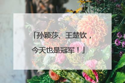 孙颖莎、王楚钦，今天也是冠军！