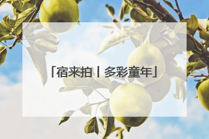 宿来拍丨多彩童年