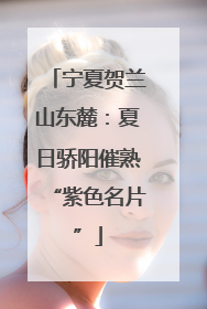 宁夏贺兰山东麓：夏日骄阳催熟“紫色名片”