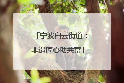 宁波白云街道：非遗匠心助共富